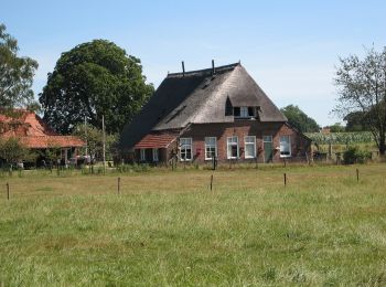 Randonnée A pied Hof van Twente - WNW Twente -Schoolbuurt - groene route - Photo