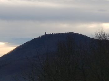 Randonnée Marche Lièpvre - Liépvre - Roche des Fées, Roche de Chalmont, Rocher du Coucou, château du Frankenbourg - Photo