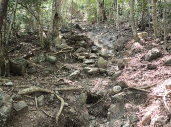 Trail Walking Deshaies - Guadeloupe - Littoral Deshaies - Photo