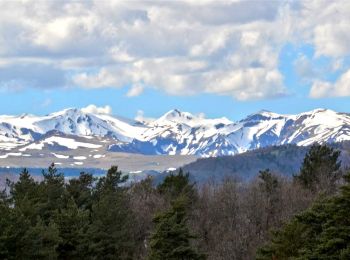 Tour Wandern Grandeyrolles - Grandeyrolles_Ravin_Quinsat - Photo