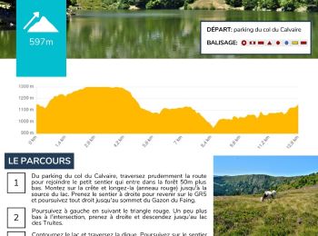 Trail Walking Le Bonhomme - 2024-07-24_18h18m55_230110313 - Photo