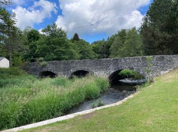 Tocht Stappen Habay - Mageroy ADEPS 2022 10 km - Photo