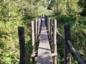 Randonnée Marche Grammont - Promenade sur des rondins de bois à Idegem - Photo