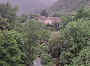 Tour Wandern Rogues - Vallée de la Vis - Photo