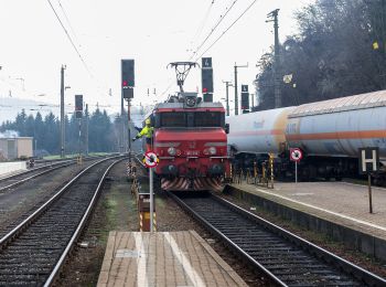 Randonnée A pied Mureck - Grenzland Bahnweg - Photo