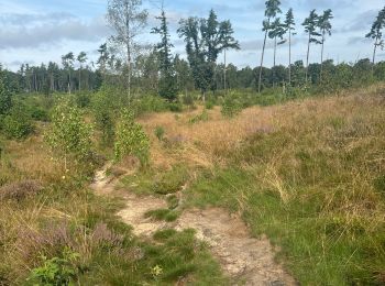 Tour Wandern Étalle - Buzenol (20km) - Photo