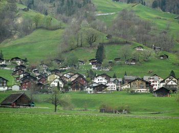 Randonnée A pied Glarus Süd - Mettlen - Soolsteg - Photo