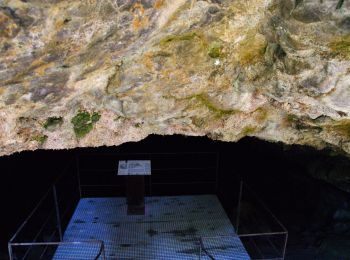 Tour Wandern Le Castellard-Mélan - Grotte de st Vincent et Grande Aiguille au départ-arrivée le col de Fontbelle - Photo