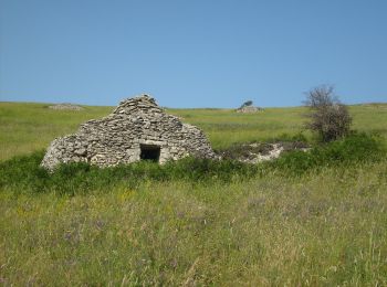 Tour Zu Fuß Roccamorice - Macchia Metola - Hotel Panorama - Photo