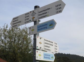Excursión A pie Lauterbach - Lauterbacher Wandersteig - Photo