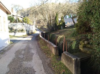 Tocht Stappen Masevaux-Niederbruck - Buchberg - Photo