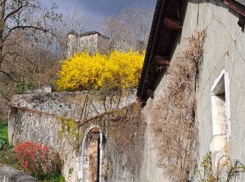 Tocht Stappen Saint-Alban-Leysse - monterminod-15-03-2024 - Photo