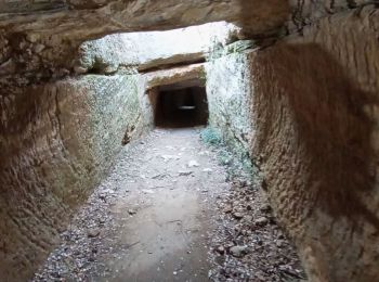 Randonnée Marche Saint-Bonnet-du-Gard - tunnels romains par les crêtes  - Photo