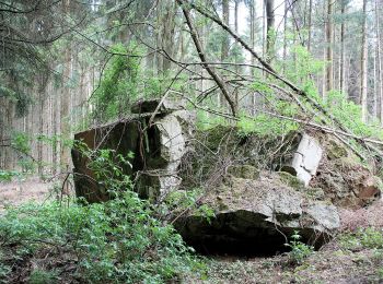 Randonnée A pied Riegelsberg - Frohn-Wald-Weg - Photo