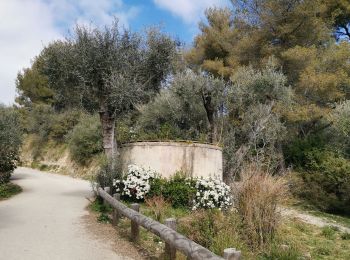 Trail Walking Nice - Parc Départemenatl d'Estienne d Orves - Photo