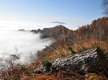 Trail On foot Cossogno - P02 - Cossogno - Pizzo Pernice - Photo