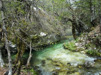 Randonnée A pied Opi - Acqua Sfranatara - Fonte San Cataldo - Photo