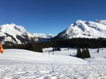 Tour Schneeschuhwandern Manigod - Tour de beauregard - raquette - Photo