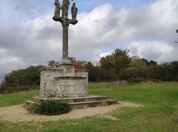 Trail Walking Vannes - vannes tohannic - Photo