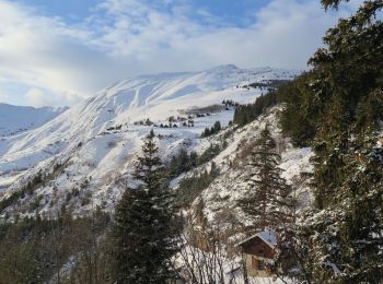 Excursión Raquetas de nieve Jarrier - Sur la Balme - Photo