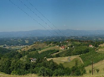 Excursión A pie Leutschach an der Weinstraße - Kleeblattwanderweg Nr. 4a - Photo