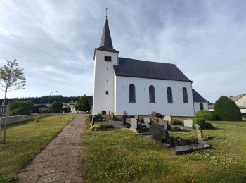 Tour Wandern Weinsheim - Weinsheim - Photo