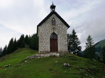 Trail On foot Malborghetto Valbruna - (SI A07) Rifugio Gortani - Casa Alpina Valbruna - Photo