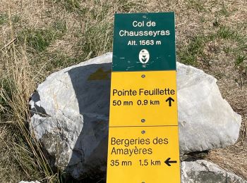 Tour Wandern Lus-la-Croix-Haute - MAS REBUFAT - POINTE FEUILLETTE  - Photo