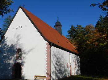 Tour Zu Fuß Frammersbach - Kulturweg Frammersbach 1 - Photo