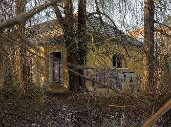 Tour Zu Fuß Bad Doberan - Doberaner Klostertour - Photo