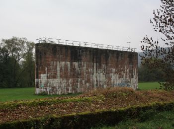 Randonnée A pied Gräfendorf - Ortswanderweg Gräfendorf 6 - Photo