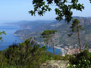 Randonnée Marche Monterosso al Mare - Mte Focone en boucle depuis Monterosso - Photo