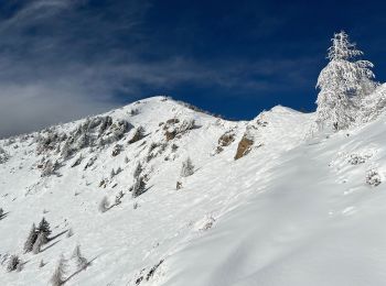 Randonnée Raquettes à neige Belvédère - Baisse de Ferisson 2 - Photo