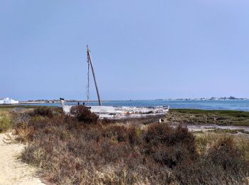 Excursión A pie Quelfes - 6.1:Centro de Interpretación del Parque Natural da Ria Formosa.-... - Photo