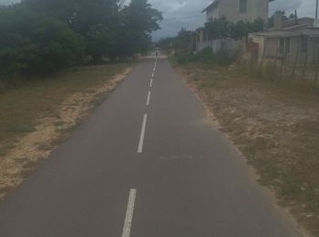 Tocht Wegfiets Le Grau-du-Roi - 30 vélo lunel gte motte a morte - Photo