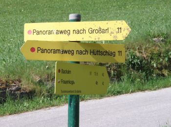 Tocht Te voet Großarl - Wanderweg 42 - Photo