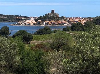 Randonnée Marche Gruissan - 20210512 île saint-Martin- Gruissan - Photo