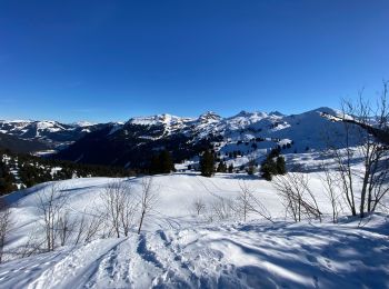 Trail Snowshoes Châtel - Plaine Dranse - Pointe de Lens - Pré la Joux - Photo