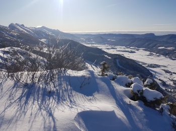 Trail Snowshoes Lans-en-Vercors - Le Belvédère des Cimes par la cabane des Ramées et retour par la Croix des Ramées  - Photo