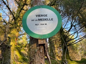 Trail Walking Le Syndicat - Les roches de Mortevieille - Photo