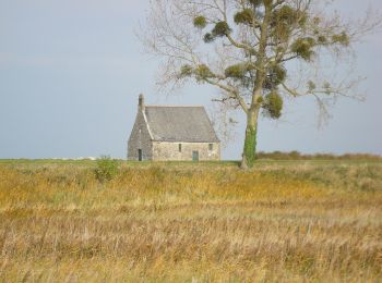 Tocht Te voet Saint-Broladre - La chapelle Sainte-Anne - Photo