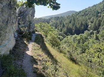Trail Walking Laffite-Toupière - Sentier des Crêtes - Auderette  - Photo