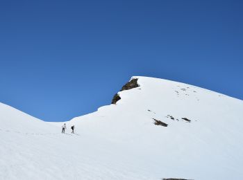 Randonnée A pied Varzo - F22 alpe veglia bivio SI, lago bianco, passo di Boccareccio - Photo