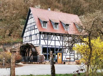 Tocht Te voet Gräfendorf - Blauer Pilz, Rundwanderweg Gräfendorf - Photo