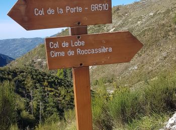 Percorso Marcia Lucerame - Mont Rocassiera - Photo