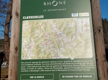 Tocht Stappen Claveisolles - rando autour de Claveisolles  - Photo