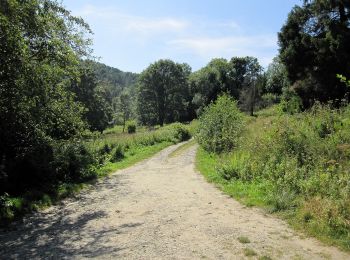 Randonnée A pied Krywe - Ścieżka przyrodniczo - historyczna 