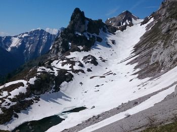 Trail Walking Jarsy - Mont de la Coche  - Photo