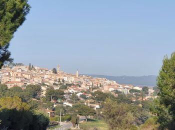 Tour Wandern La Cadière-d'Azur - la cadiere d'azur - Photo