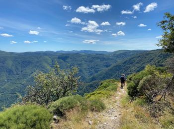 Trail Walking Meyrueis - Meyruis L’Esperou 26 km - Tour du mont Aigual  étape 3 - Photo